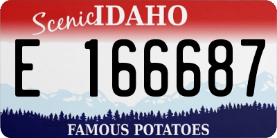 ID license plate E166687