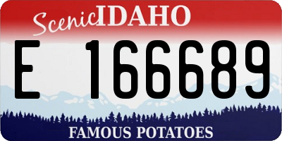 ID license plate E166689