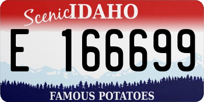 ID license plate E166699