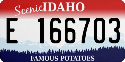 ID license plate E166703