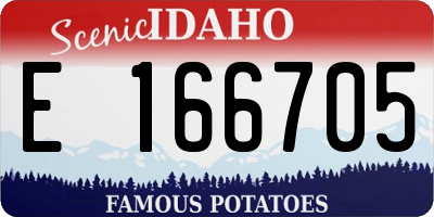 ID license plate E166705