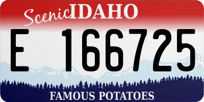 ID license plate E166725
