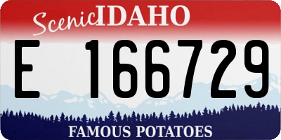 ID license plate E166729