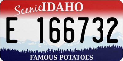 ID license plate E166732