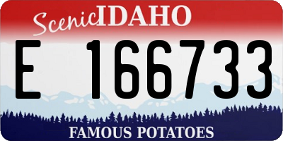 ID license plate E166733