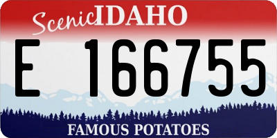 ID license plate E166755