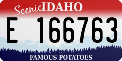 ID license plate E166763