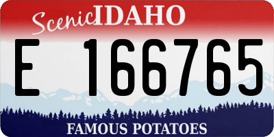 ID license plate E166765