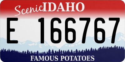 ID license plate E166767