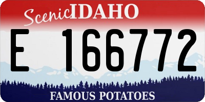 ID license plate E166772