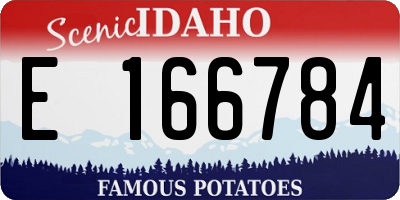 ID license plate E166784