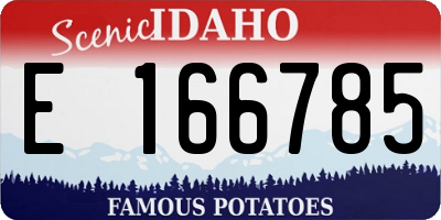 ID license plate E166785