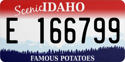 ID license plate E166799