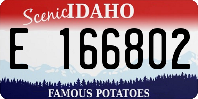 ID license plate E166802