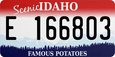 ID license plate E166803