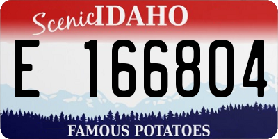 ID license plate E166804