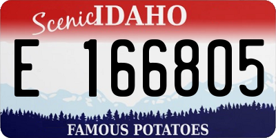 ID license plate E166805