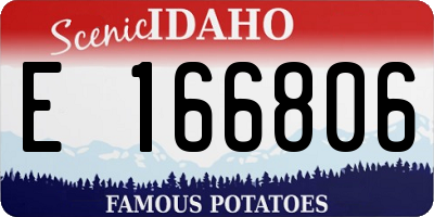 ID license plate E166806