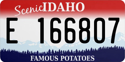 ID license plate E166807