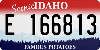 ID license plate E166813