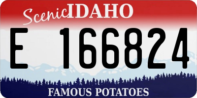 ID license plate E166824