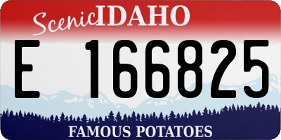 ID license plate E166825