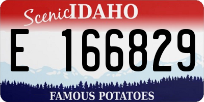 ID license plate E166829