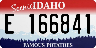 ID license plate E166841
