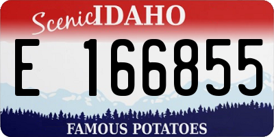 ID license plate E166855