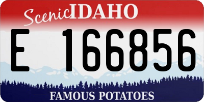ID license plate E166856