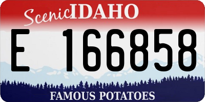 ID license plate E166858