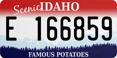 ID license plate E166859