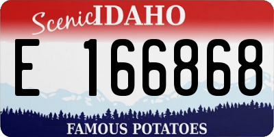 ID license plate E166868