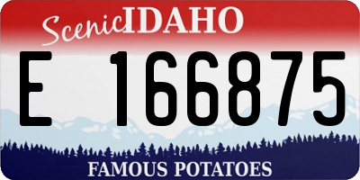 ID license plate E166875