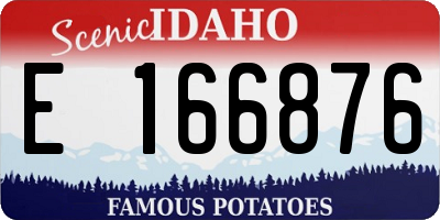ID license plate E166876