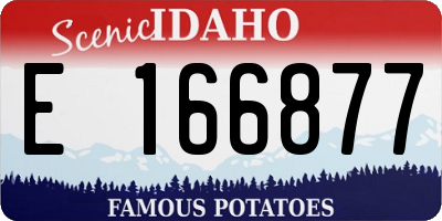ID license plate E166877
