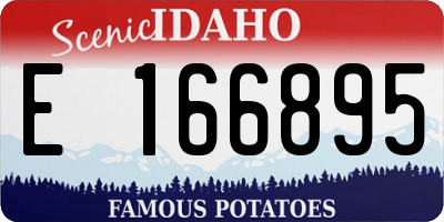 ID license plate E166895