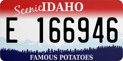 ID license plate E166946