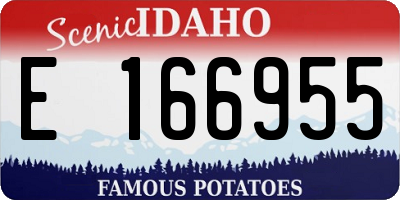 ID license plate E166955
