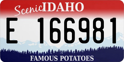 ID license plate E166981