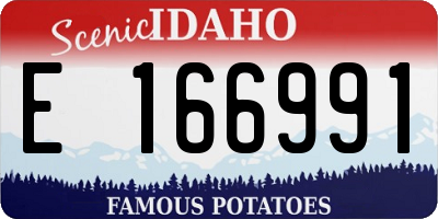 ID license plate E166991