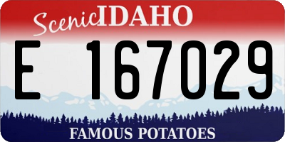 ID license plate E167029