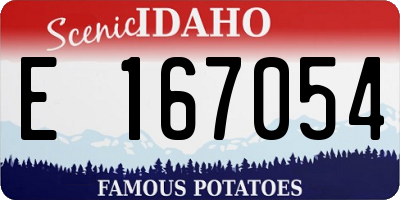 ID license plate E167054