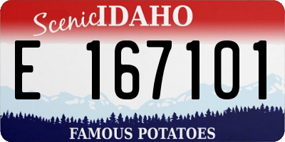 ID license plate E167101