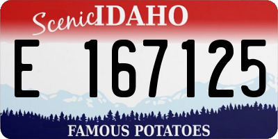 ID license plate E167125