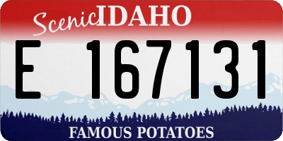 ID license plate E167131
