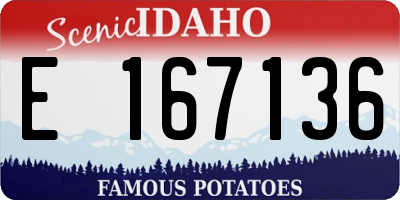 ID license plate E167136