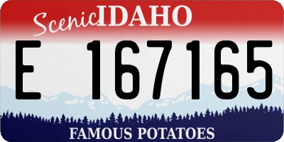 ID license plate E167165