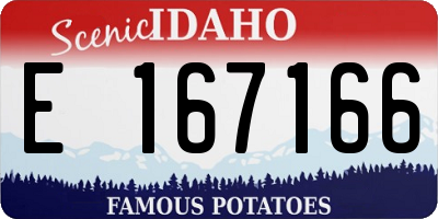 ID license plate E167166