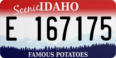 ID license plate E167175